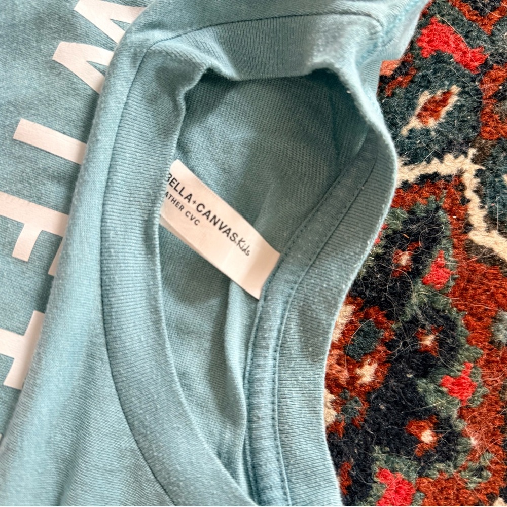 Bella + Canvas swiftie t-shirt